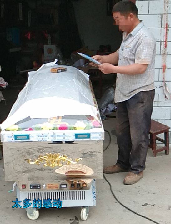 正陽(yáng)蘭青客戶案例